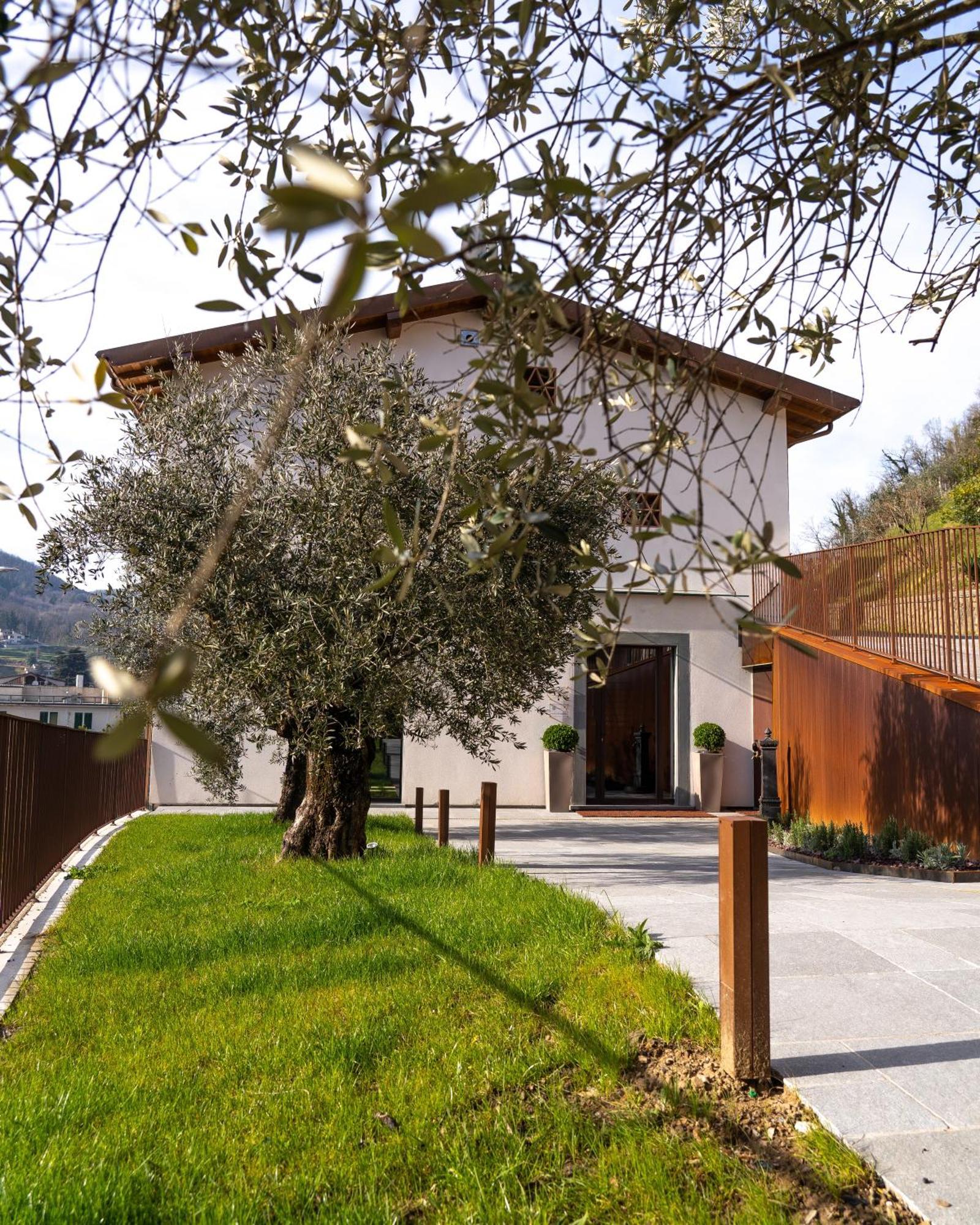 קסטלנובו די גרפניאנה Il Pradicciolo Agriturismo מראה חיצוני תמונה